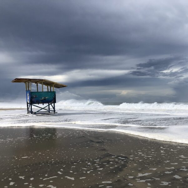 Ruta Tuga: Puerto Escondido: 5 días - 4 noches - Image 7