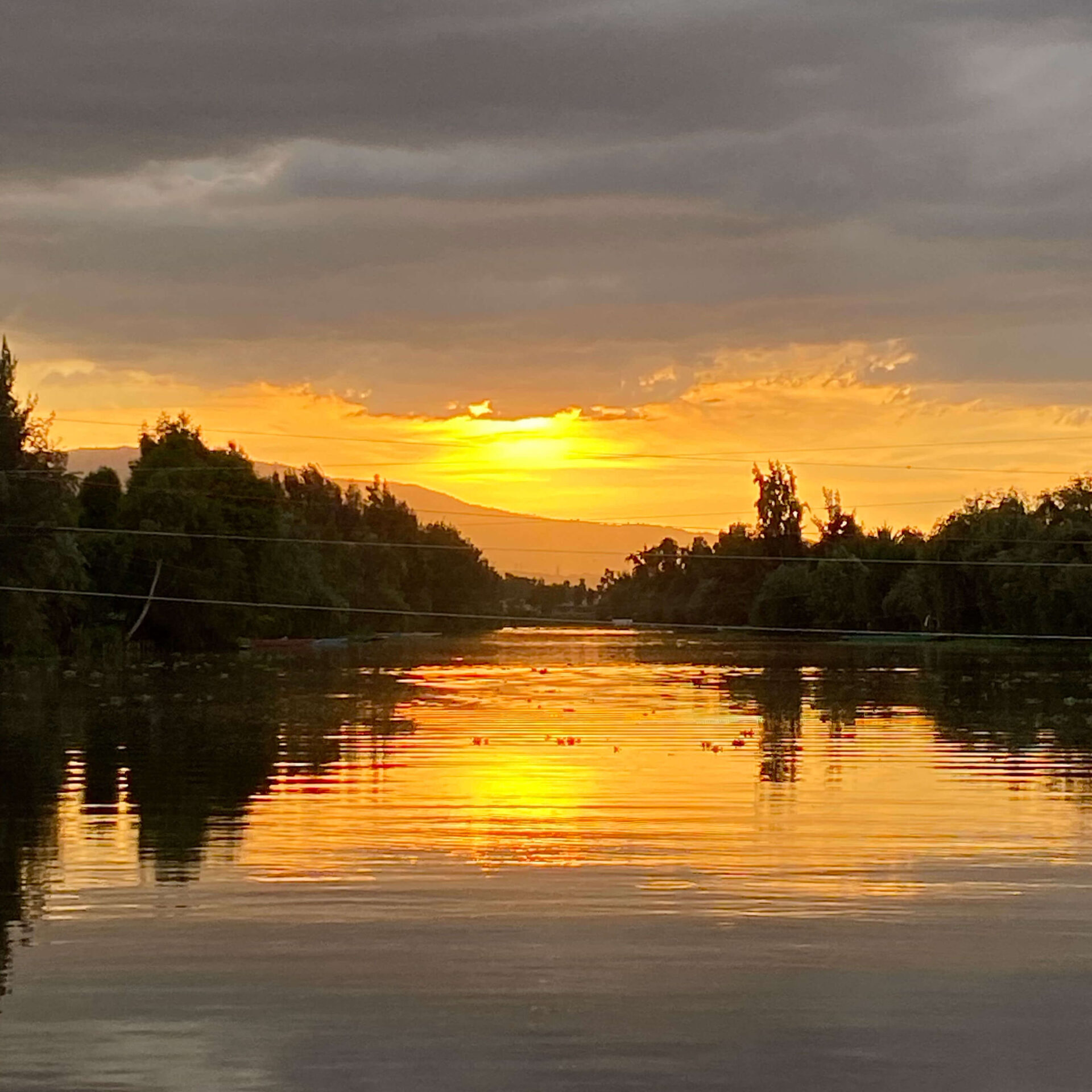 rutatuga-xochi-atardecer